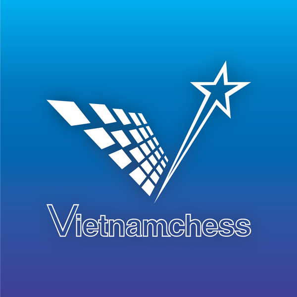 vnc logo